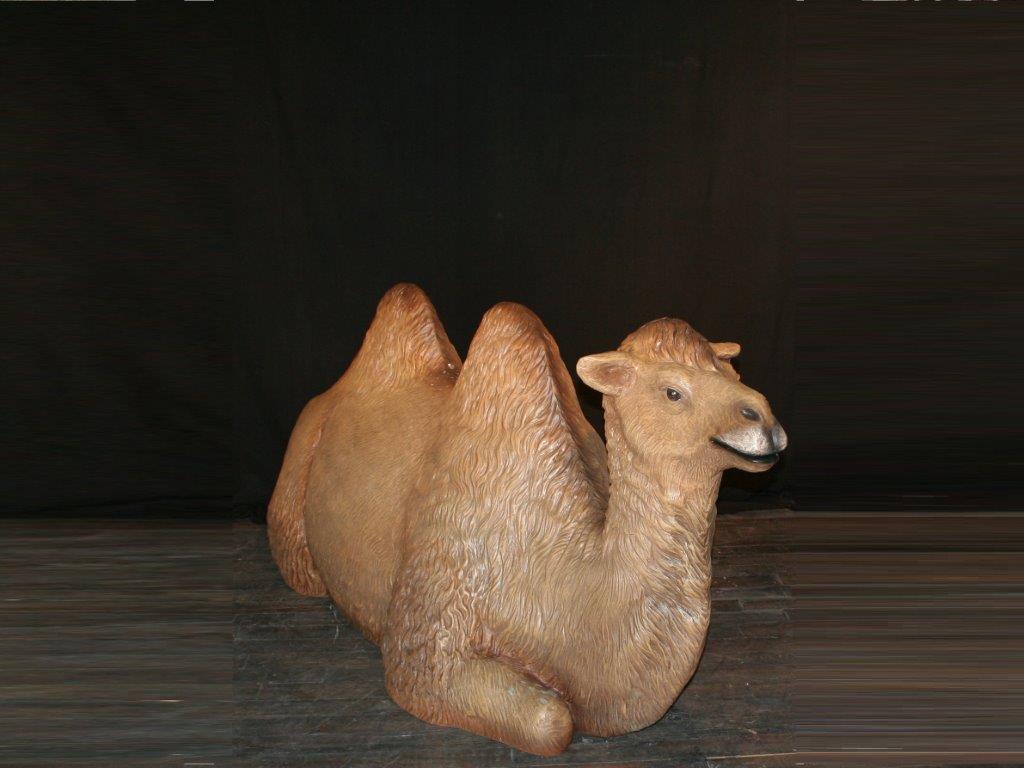 verhuur kameel huren