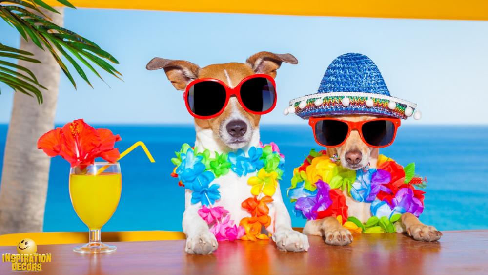verhuur decor backdrop Ibiza twee honden aan de beach bar huren