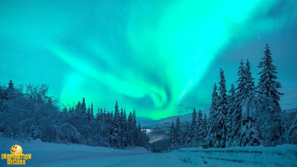 verhuur decor Noorderlicht Aurora Borealis huren
