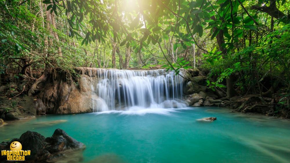 verhuur decor waterval jungle huren