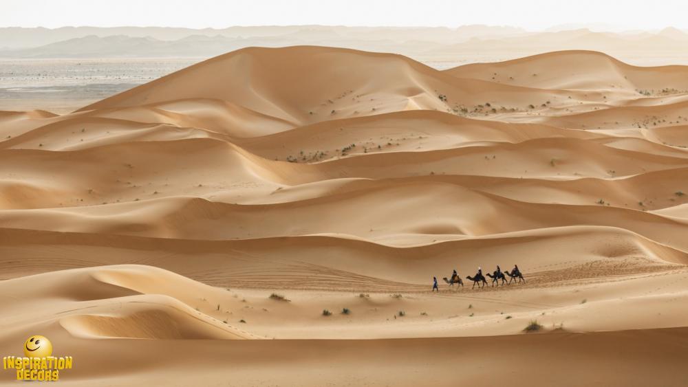 verhuur decor doek Sahara woestijn huren